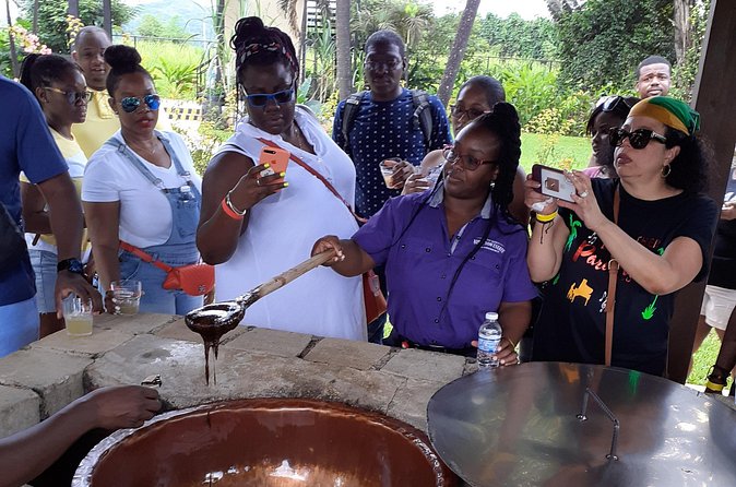 Pelican Bar, Appleton Rum Tour, YS Falls Jamaica south coast experience Montego - Is $300 a fair price?