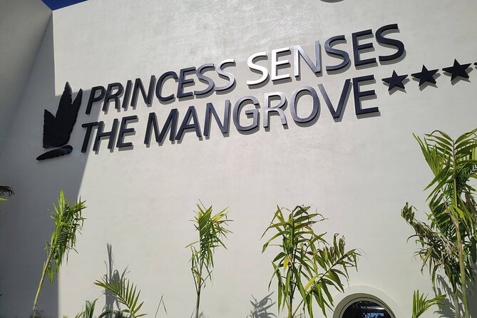Princess Senses The Mangrove Airport Transfers - Who should book this Montego Bay transfer?