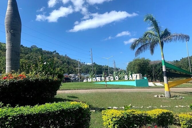 Private Airport Pickup and drop off in Jamaica - The useful freedom to stop for coconuts or shopping
