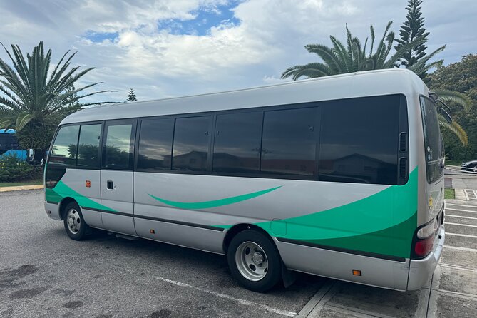 Private Airport Transfer from MBJ to Ocean Eden Bay - The return trip and the early airport schedule