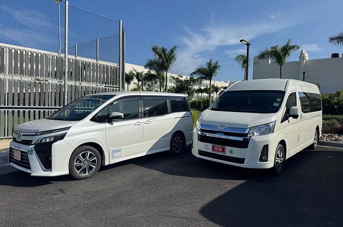 Private Airport Transfer Negril to Montego Bay Airport (One-Way) - Who Should Book This Transfer?