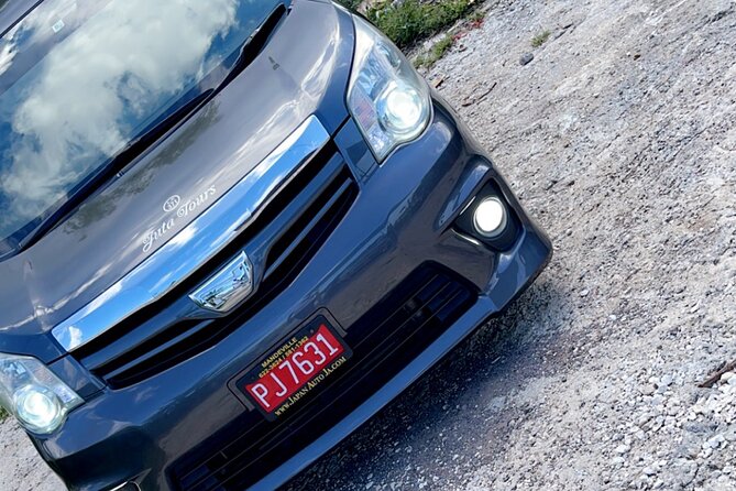 Private Airport transfer to/from all hotels in Negril round trip - A private welcome between the airport and Negril