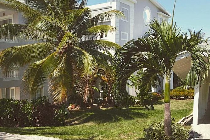 Private Airport Transfer to Lady Hamilton and Grand Palladium - Who will appreciate this transfer most?