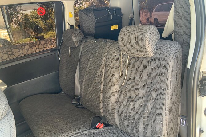 Private Airport Transfer to or from Ocean Coral Spring Resort - The ride itself: comfort, conversation, and direct service
