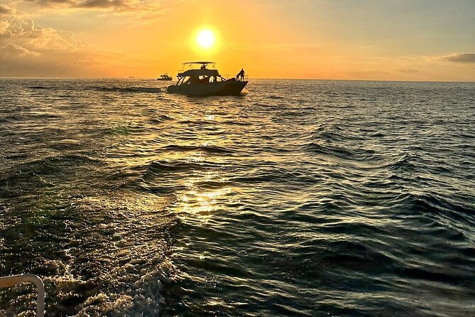 Private Airport Transfer to Royalton, Ocean Coral Spring & Excellence Oyster Bay - How the three resort choices affect your booking