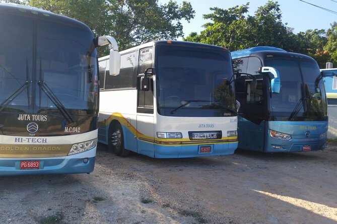 Private Airport Transfers To Negril Hotels and Villas - Leaving Montego Bay airport without the shuttle wait