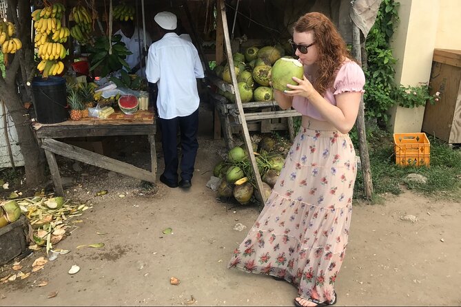 Private and Customize Highlight Tour to Montego Bay from Falmouth - Key points to know before you book