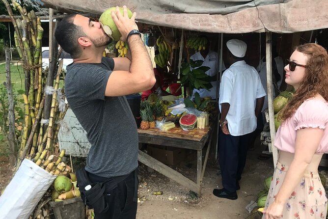 Private and Customize Highlight Tour to Montego Bay from Falmouth - Cultural views from Montego Bay