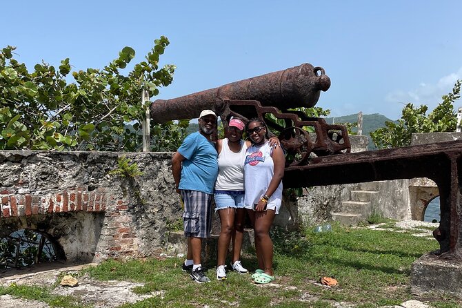Private and Customize Negril Day Tour - What the private minivan changes