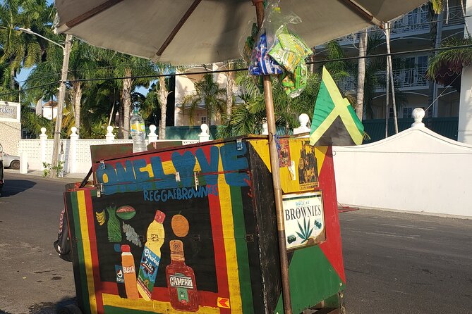 Private and Customized Montego Bay City Tour - Why the private setting matters