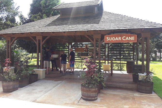 Private Appleton Estate Rum and Pelican Bar Tour from Montego Bay - Why this private Montego Bay day trip works
