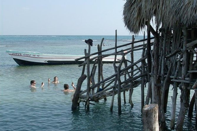 Private Appleton Estate Rum and Pelican Bar Tour from Montego Bay - Who will get the most from this $230 experience