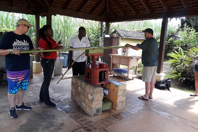 Private Appleton Estate Rum and Pelican Bar Tour from Montego Bay - Inside the two-hour Appleton Estate experience