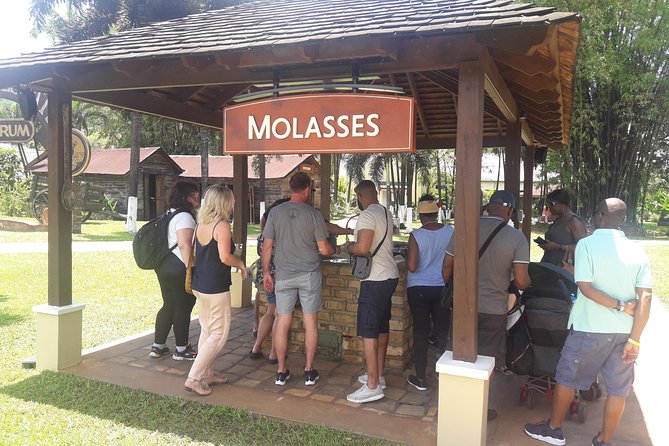 Private Appleton YS Falls and Black River Tour from Montego Bay - Key things to know before booking