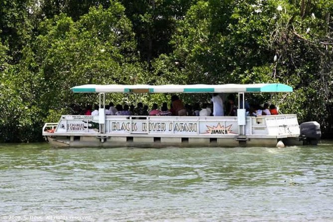 Private Appleton YS Falls and Black River Tour from Montego Bay - From Montego Bay to Jamaica’s south coast