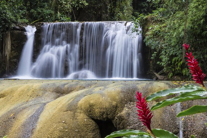 Private Appleton YS Falls and Black River Tour from Montego Bay - What the $270 price really covers