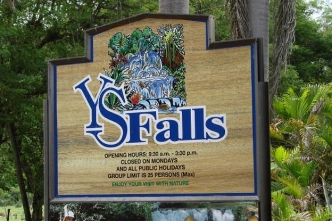 Private Appleton YS Falls and Black River Tour from Montego Bay - Who will enjoy this Jamaica day trip most