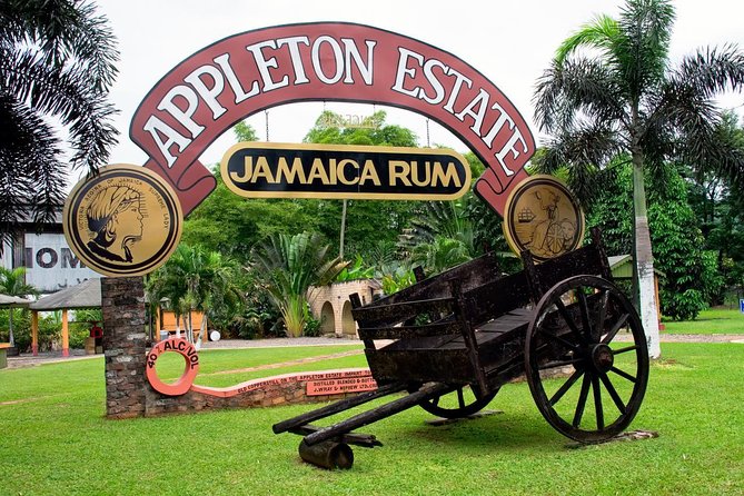 Private Appleton YS Falls and Black River Tour from Montego Bay - YS Falls: rope swings, terraces, and cool water