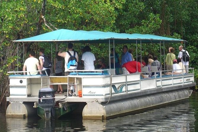 Private Black River Safari Tour from Montego Bay - Key points to know before you book