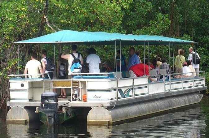 Private Black River Safari Tour from Montego Bay - Booking details and cancellation terms