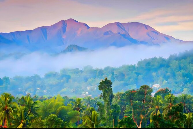 Private Blue Mountain tour from Ocho Rios - Key points to know before booking