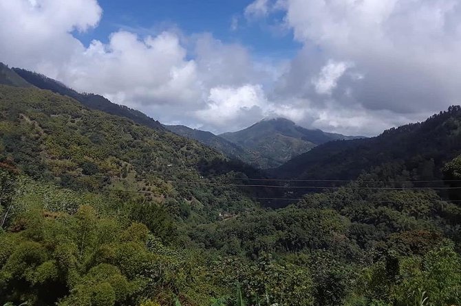 Private Blue Mountain tour from Ocho Rios - Rivers, waterfalls, and the first mountain views