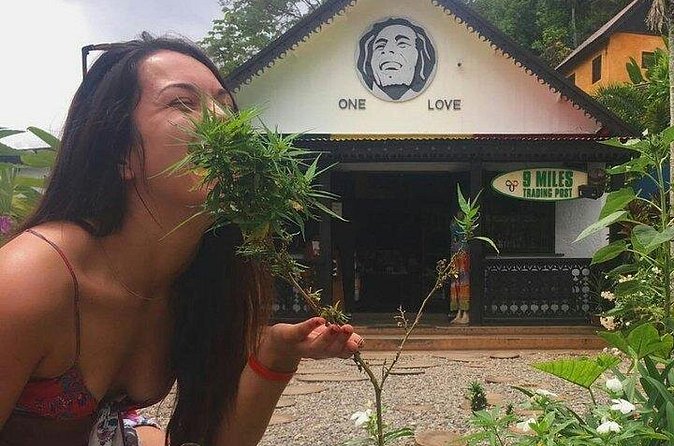 Private Bob Marley's Resting place, Dunn's River and shopping - The value of $95 per person