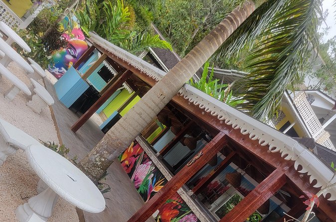 Private Bob Marley's Resting place, Dunn's River and shopping - Who will get the most from this outing