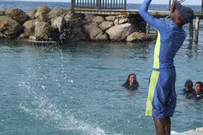 Private Dolphin Cove Adventure - Trainers make the dolphin session easier