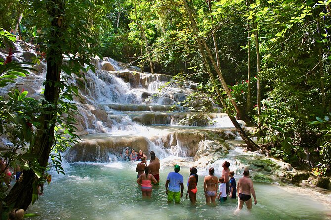 Private Dunn's River Falls Adventure from Montego Bay - Key points at a glance