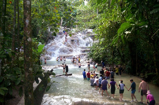 Private Dunn's River Falls Adventure from Montego Bay - What the $155 price buys you