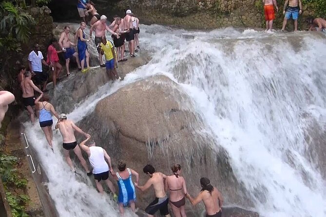 Private Dunn's River Falls Adventure from Montego Bay - Who will like this outing most