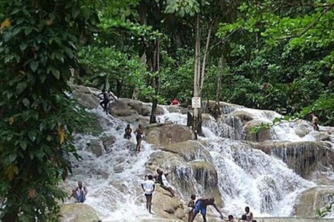 Private Dunn's River Falls and Tubing Tour From Ocho Rios - The guide can shape the whole outing