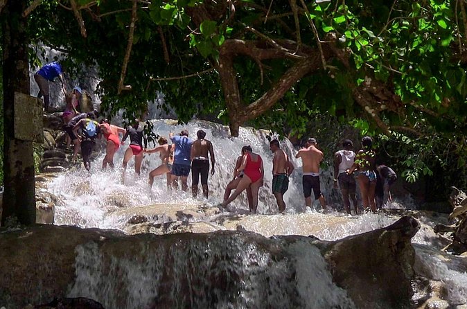 Private Dunn's River Falls from Ocho Rios - The guides and service style