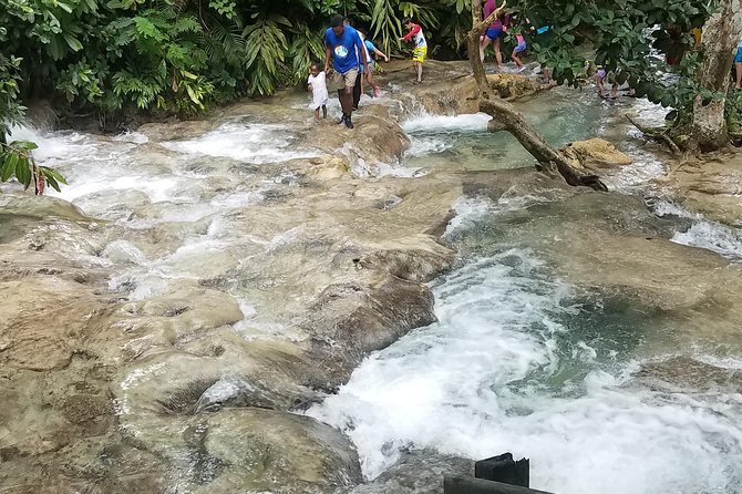Private Dunn's River Falls from Ocho Rios - Is $80 per person a fair price?