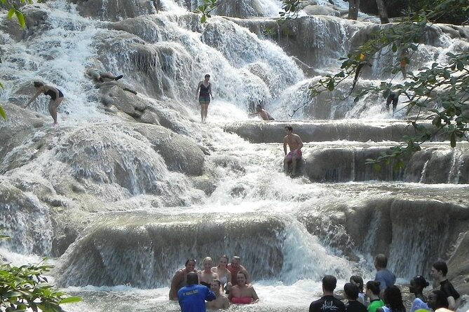 Private Dunn's River Falls Jamaica - Adding a rainforest zipline