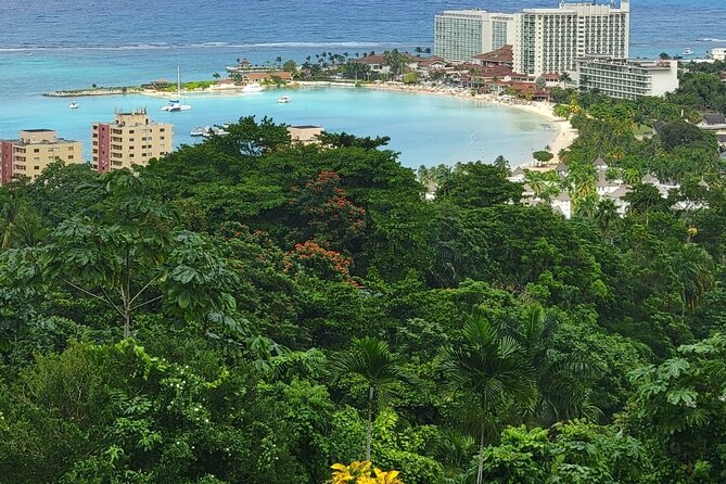 Private Dunn's River Falls, Ocho Rios Sightseeing and shopping - Local vendors, duty-free shops, and the shopping question