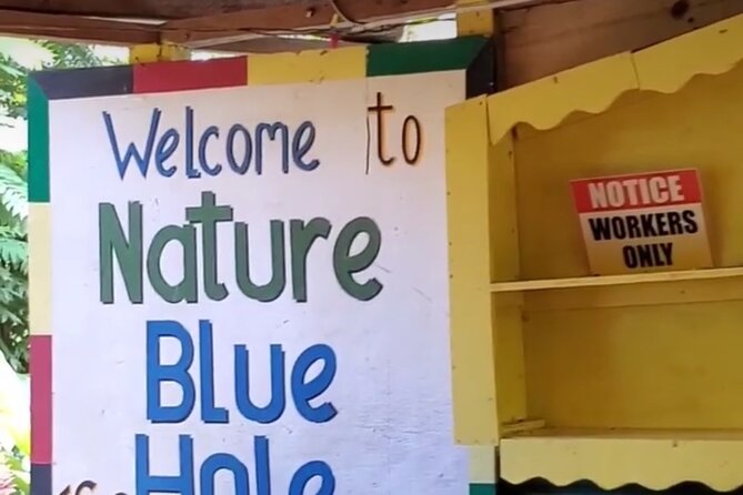 Private Dunns River Falls and Blue Hole from Montego Bay Tour - What the $100 price really means
