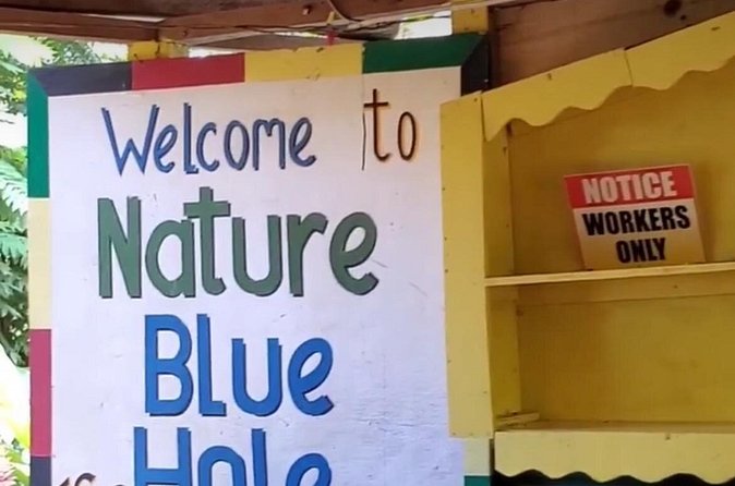 Private Dunns River Falls and Blue Hole from Montego Bay Tour - Practical things to settle before you go