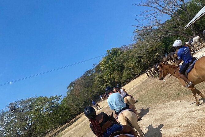 Private Dunns River Falls and Horse Back Riding - Climbing, photographing, or simply enjoying Dunn’s River