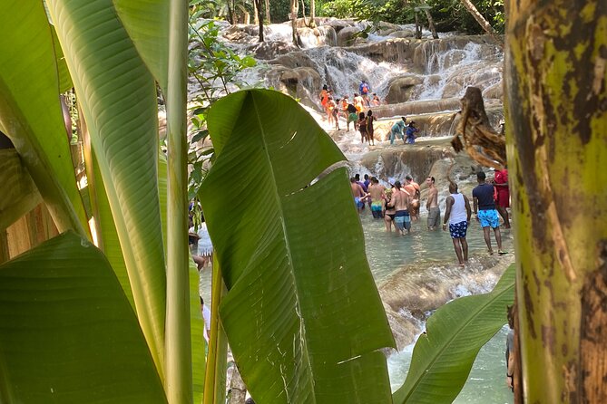 Private Dunns River Falls and Horse Back Riding - Should you book the Dunn’s River and horseback-riding tour?