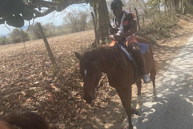 Private Dunns River Falls and Horse Back Riding - Starting at Dunn’s River Falls at 10:00 a.m.