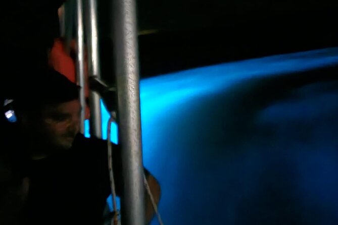 Private Guided Night Tour of Luminous Lagoon in Montego Bay - Should you swim in the glowing water?