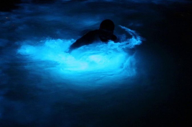 Private Guided Night Tour of Luminous Lagoon in Montego Bay - Who will enjoy this night tour most?
