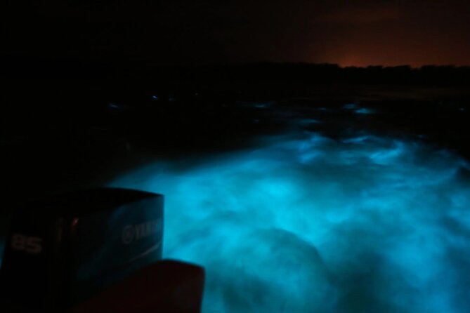 Private Guided Night Tour of Luminous Lagoon in Montego Bay - Arrival, welcome drink, and the first look at the bay