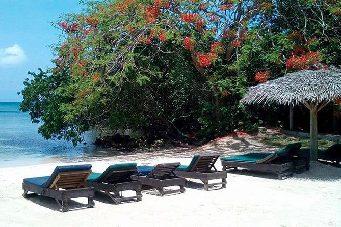 Private Half Moon Beach Tour from Montego Bay - Reaching Half Moon Beach by private pickup