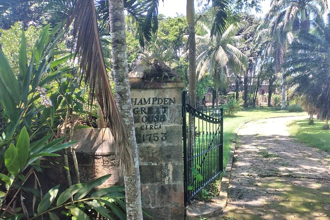 Private Hampden Estate Rum Tour from Montego Bay or Falmouth - Is $149.99 a fair price?