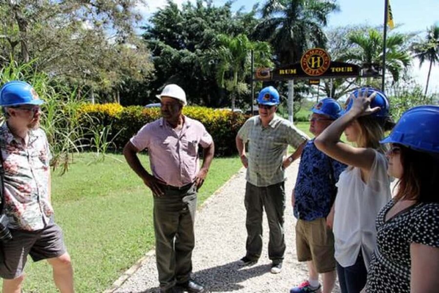 Private Hampden Estate Rum Trip from Montego Bay - The road to the Queen of Spain valley