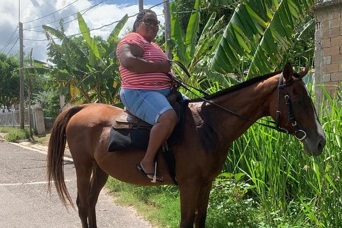 Private Horseback Riding from Ocho Rios with Guide - Choosing a horse and meeting your guide
