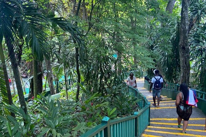 Private Horseback Riding, Swimming and Dunn's River Falls Tour - Choosing your horse and heading toward the sea